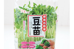 その豆苗、本当に新鮮？ プロが教える「おいしい豆苗」の見分け方と長持ちさせる保存術