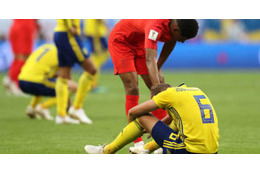 イブラヒモヴィッチ、W杯のスウェーデン代表に感動！「ありがとう」 画像