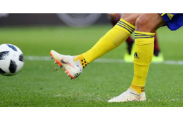 イブラを感動させたW杯スウェーデン代表、なんと「靴下」でFIFAから罰金780万円！ 画像