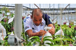 高原の沖縄SVが新たなクラウドファンディングを実施、キーワードは「新監督」と「マンゴー」！？ 画像