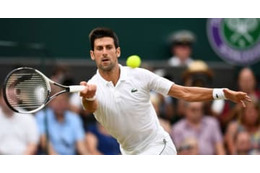 ジョコヴィッチ、W杯決勝でクロアチアを応援も…政治家が「恥ずかしくないのか」と批判 画像