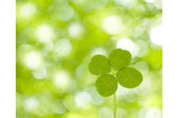 47歳、貯金1600万円。夫がうつ病で共倒れになりそう 画像