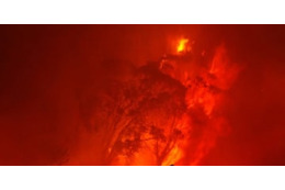 欧州も異常気象…サッカーチーム、最悪の山火事被災者に試合収益を全て寄付 画像