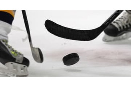 サッカーのGK、アイスホッケー観戦で顔面裂傷…「もう2度と行かない」 画像