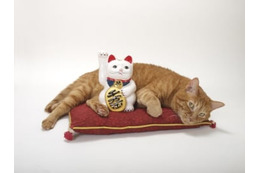 金持ち体質は「断られた後」の行動が違う！ 画像