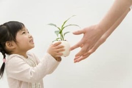 幸せを得るためにはまず年800万円まで稼ぎなさい 画像