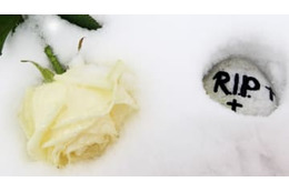 「所属選手が死亡」と誤報したサッカーチーム、謝罪する 画像