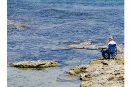 高齢者世帯が気を付けたい出費は？どの費目？ 画像