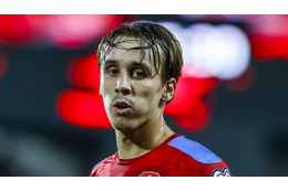 長友や香川のトルコで悲劇…EURO2016のチェコ代表FW、バス事故で死去 画像