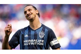 イブラヒモヴィッチ、「20試合0ゴール選手」 への説法動画がおもしろい 画像