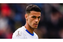 元日本代表FWも壊れた！イタリアの“新イブラ”、VARで消えた「幻の超ゴール」がこれ 画像