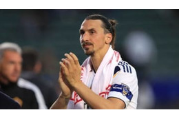 イブラ、「ニンジャ」で植物を破壊！なぜそんなことを 画像