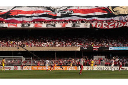 ファンが「25m落下」少女の上に落ちる衝撃映像がこれ 画像