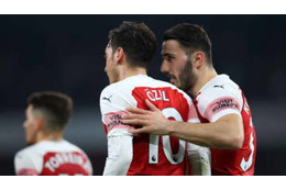 コラシナツに反撃された襲撃犯、懲役10年を宣告される 画像