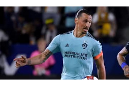 VARをどう思う？イブラヒモヴィッチの「答え」がかっこいい 画像