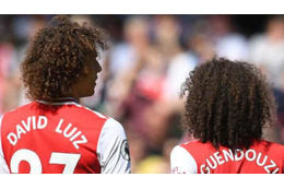 アーセナル、敵地スタジアムアナに誤爆される！モフモフのせい？ 画像