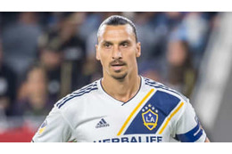 イブラヒモヴィッチ、30日にミラン復帰！給与額と背番号は？ 画像