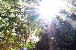 無数の「声なき声」が聞こえてくる 画像