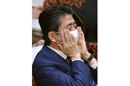 布マスクを全戸に2枚配布へ 画像