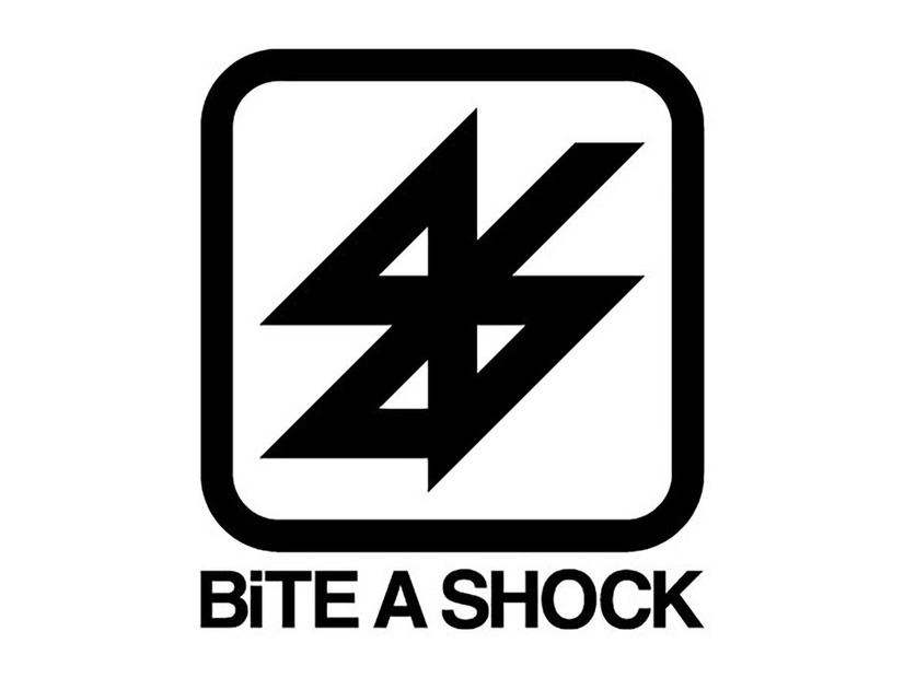 「BiTE A SHOCK」（C）日本テレビ