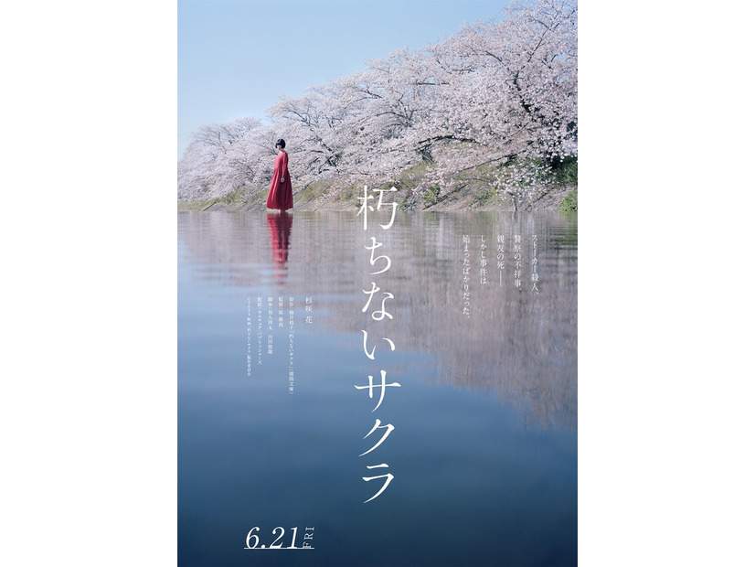 杉咲花主演「朽ちないサクラ」ティザービジュアル（C）2024 映画「朽ちないサクラ」製作委員会