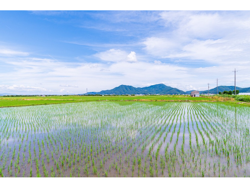 田んぼの横を通った瞬間「たかしがいる！」指を先にあったものとは！？