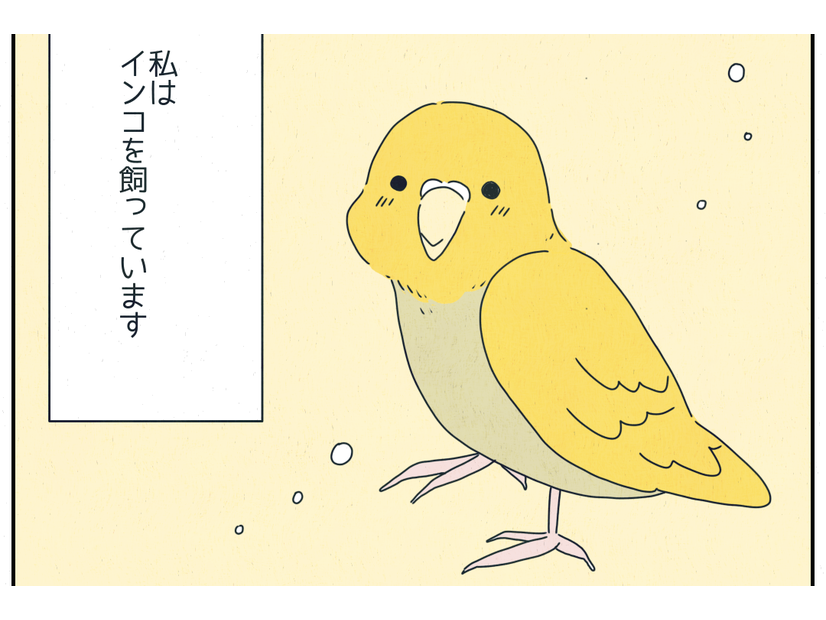 ぼーっとインコを撫でていると…”まさかの行動”に「寄り添ってる」「やさしいね」