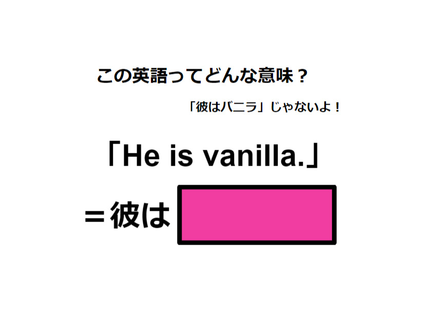 この英語ってどんな意味？「He is vanilla. 」