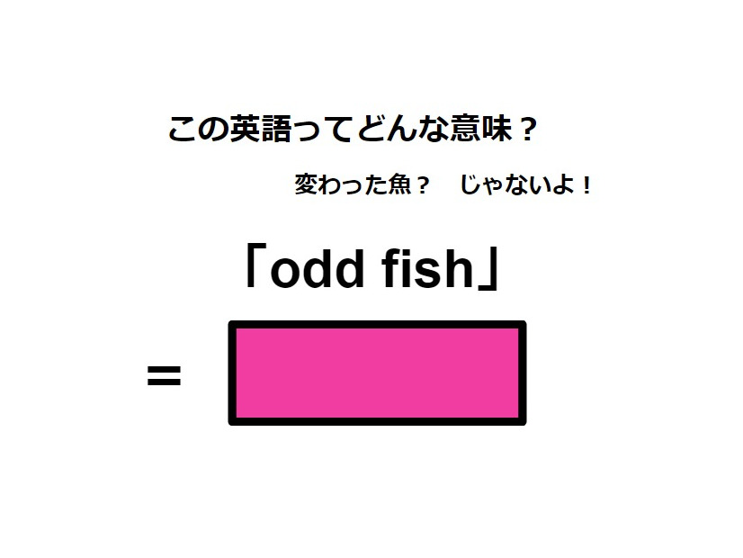 この英語ってどんな意味？「odd fish」