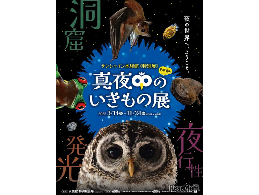 サンシャイン水族館 特別展「真夜中のいきもの展」