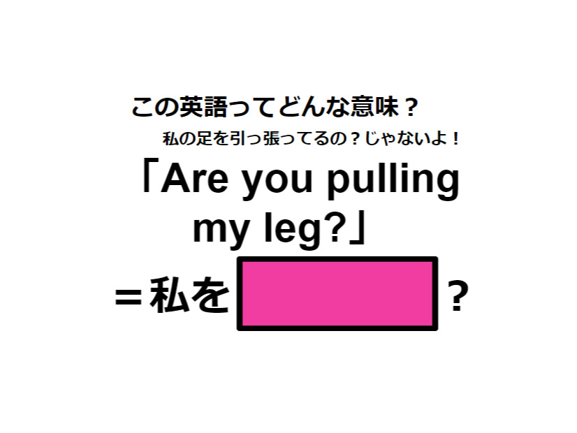 この英語ってどんな意味？「Are you pulling my leg? 」