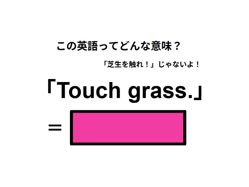 この英語ってどんな意味？「Touch grass. 」