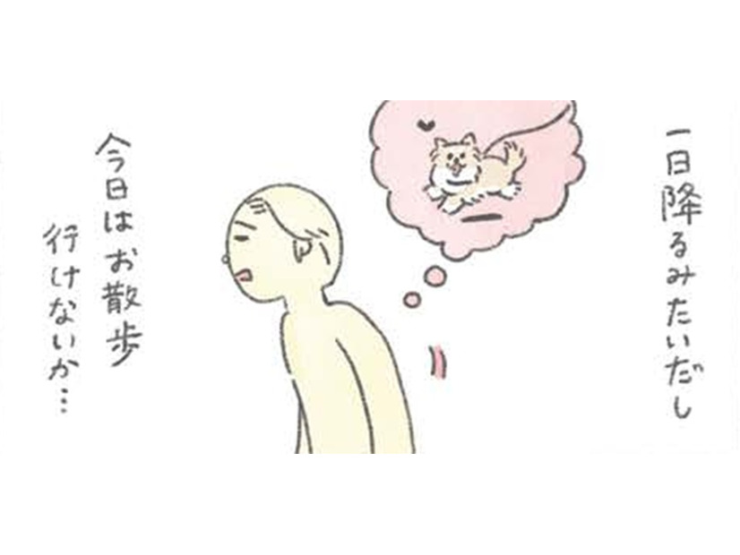 雨の日も玄関で散歩を待つ愛犬むっく…小雨のなか大はしゃぎ！【うちのむっくはいつも楽しそう #６ 】