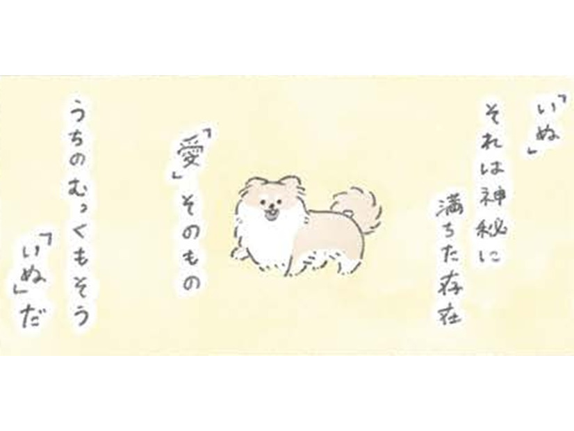 犬の神秘…むっくは胸毛もふわふわ過ぎて「愛」そのものの存在か?!【うちのむっくはいつも楽しそう #９ 】