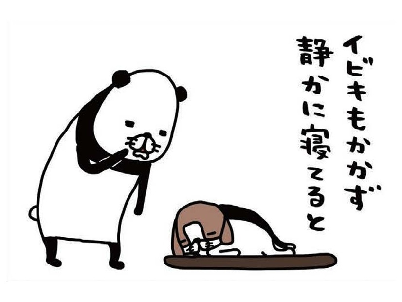ヨボヨボの愛犬、14歳の梅吉。静かに寝てると思わず取ってしまう行動は？【パンダと犬 ＃24】