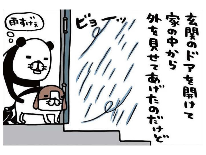 雨風強い日に愛犬。濡らさないように、そっと包み込むのはナゼ？【パンダと犬 ＃26】