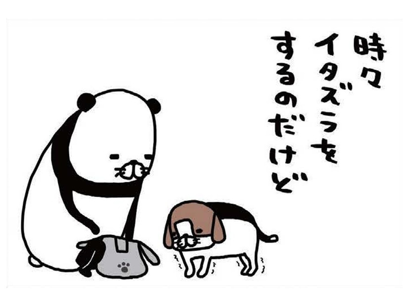 老犬・梅吉がヨボヨボしてイタズラをしに来る…スピードの遅さが逆にかわいい【パンダと犬 ＃32】