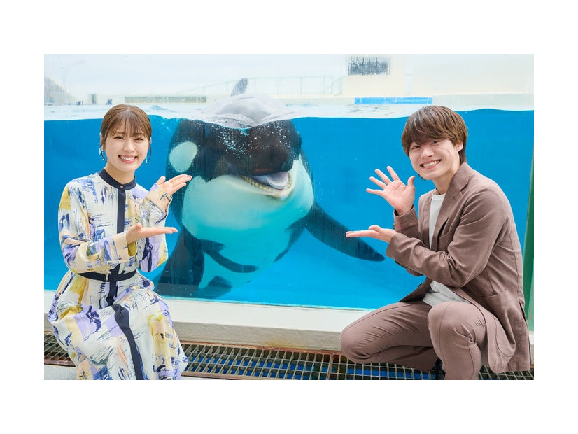渋谷凪咲、シャチ、大橋和也（C）テレビ朝日
