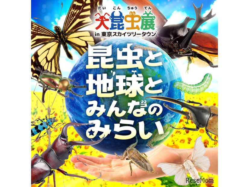大昆虫展in東京スカイツリータウン～昆虫と地球とみんなのみらい～
