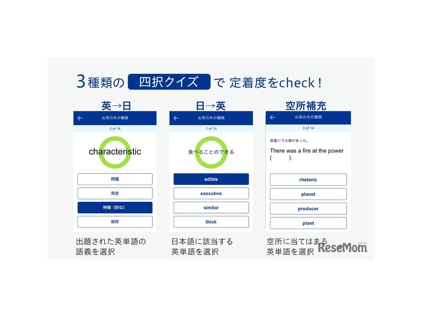 3種類の「4択クイズ」で定着度をcheck
