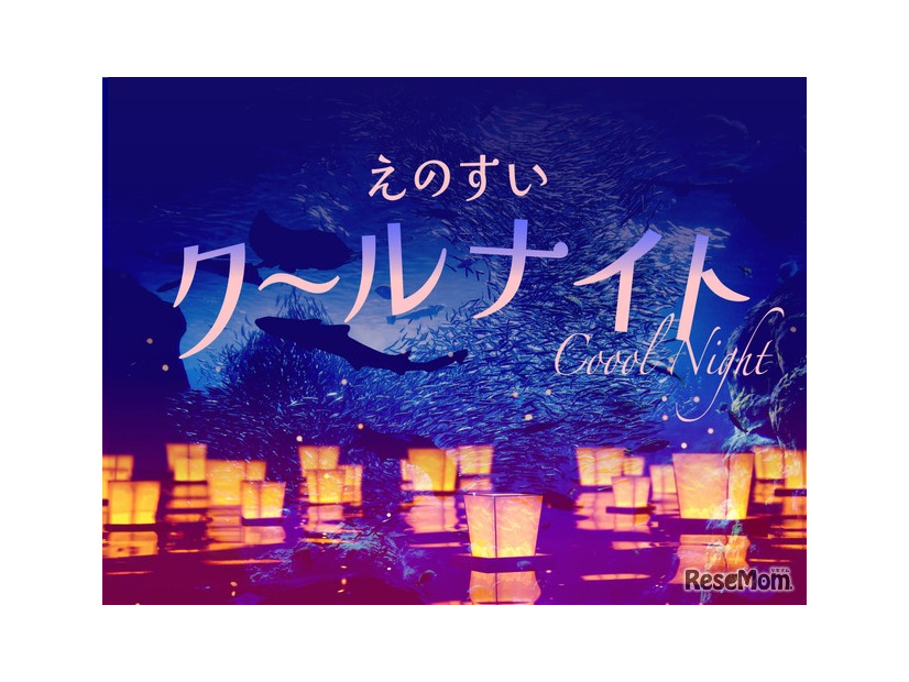 えのすいクールナイト