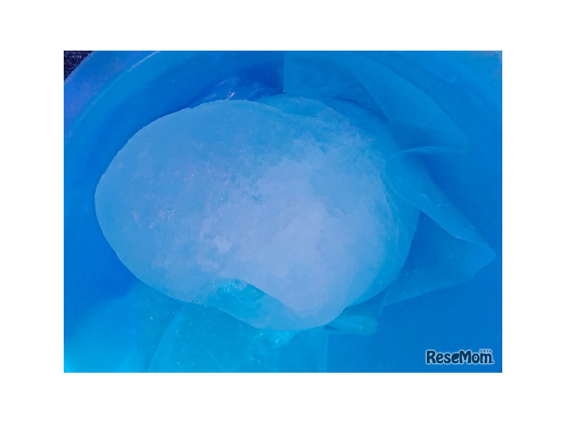北海道から到着、流氷展示