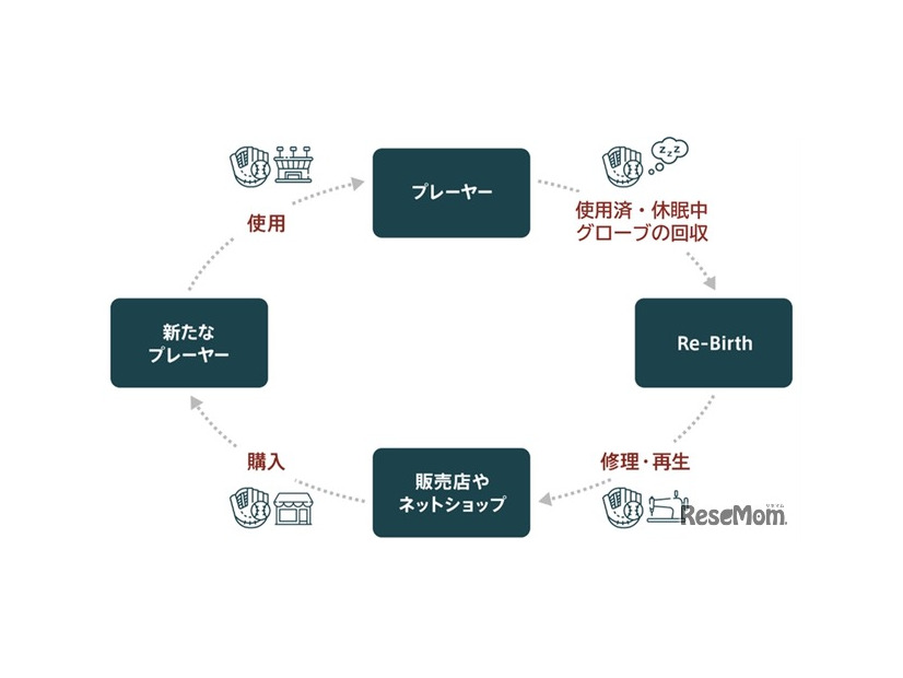野球グローブの循環が生み出す未来「サーキュラーエコノミー」