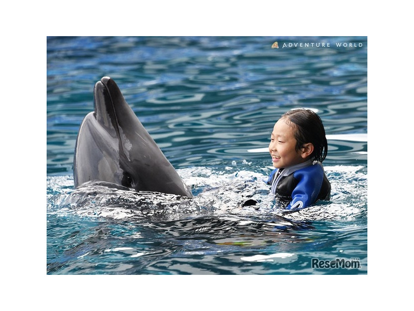 「Swimming with Dolphin～Deep emotion～」のようす