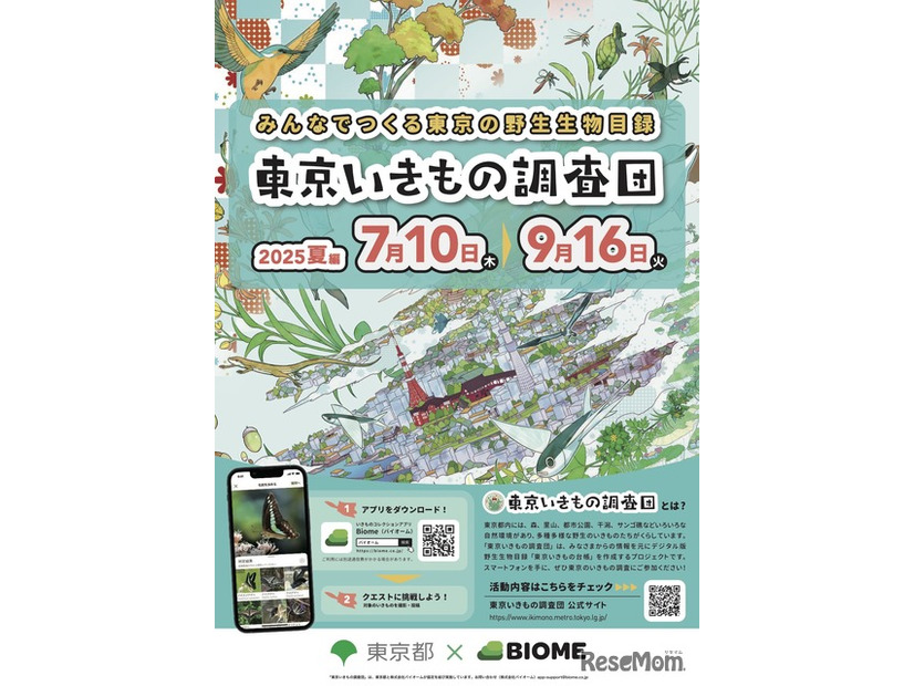 東京いきもの調査団 2025夏編 チラシ