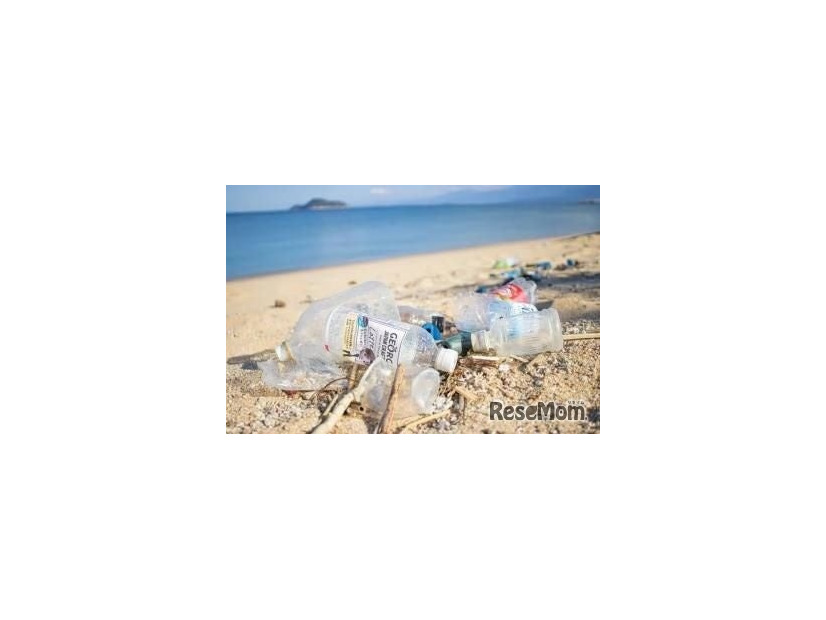小学5・6年生向け自由研究テーマ例「海洋プラスチックゴミの調査をしてみよう」
