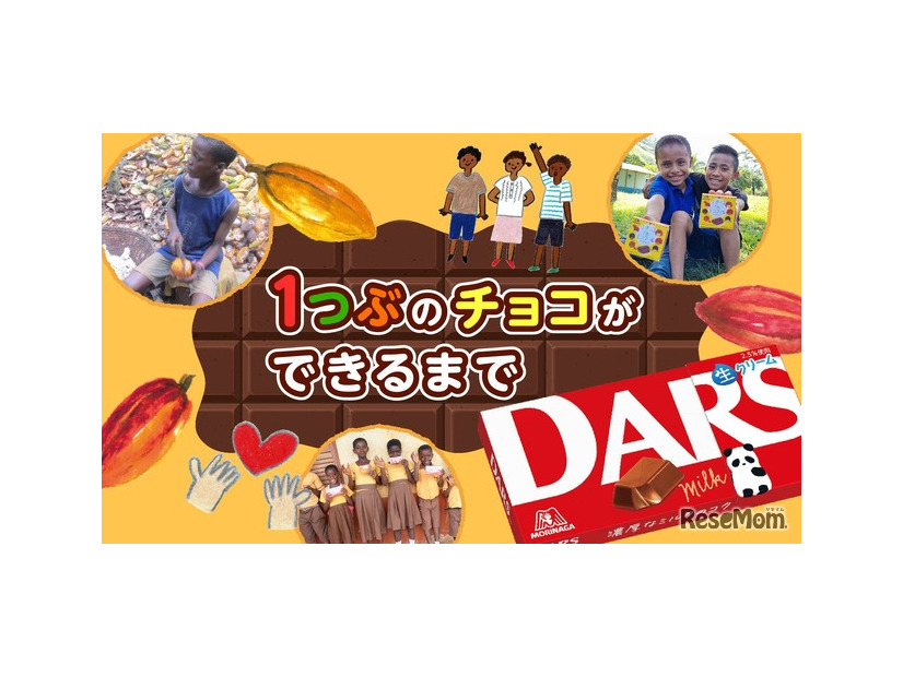 1つぶのチョコができるまで