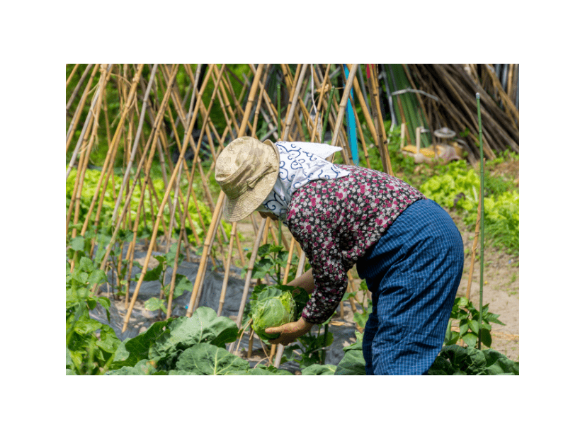 農家をやっている80代の祖父母　孫「こんなに食べれないよ」⇒祖父母から”送られてきた物”に「何歳になっても孫」