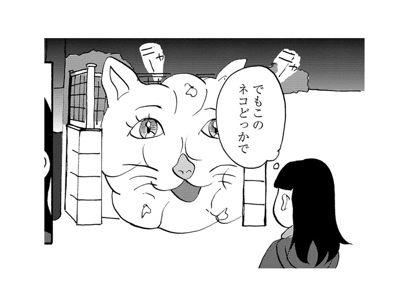 ゴミ捨て場に巨大な猫の顔が見える！猫の正体とは【統合失調症日記 #16】