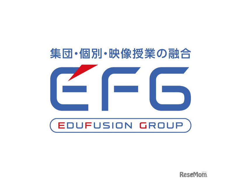 EDUFUSION GROUP